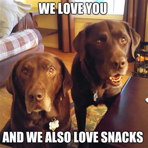 Unique Love Memes 40 Best Love Memes To Share Special One I Love You