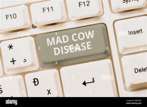 Conceptual Display Mad Cow Disease Business Concept Neurodegenerative