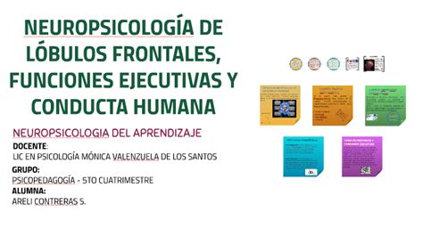 NeuropsicologÍa De LÓbulos Frontales Funciones Ejecutivas Y By Prezi Classic On Prezi