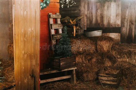 Sheaves Of Hay In A Wooden Barn Harvesting Food Dry Straw For Feeding