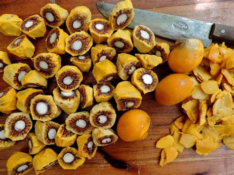 Um Dos Produtos Que Podem Ser Feitos Com Pequi - Pequi é fruto nutritivo e bastante utilizado na culinária do sertão
