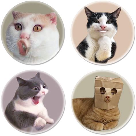 Funny Monday Cat Meme