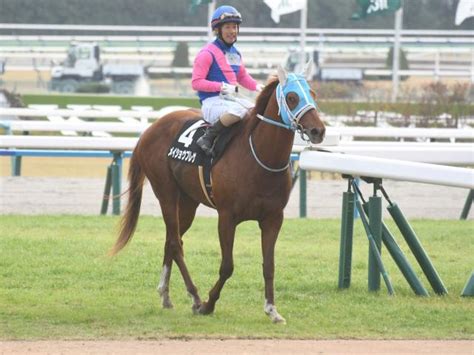 【万葉sレース後コメント】メイショウブレゲ酒井学騎手ら 競馬ニュース Netkeiba