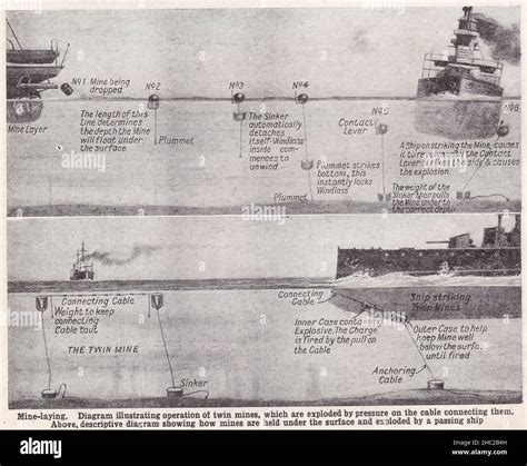 Vintage diagram illustrating mine-laying showing operation of twin mines and how mines are held ...