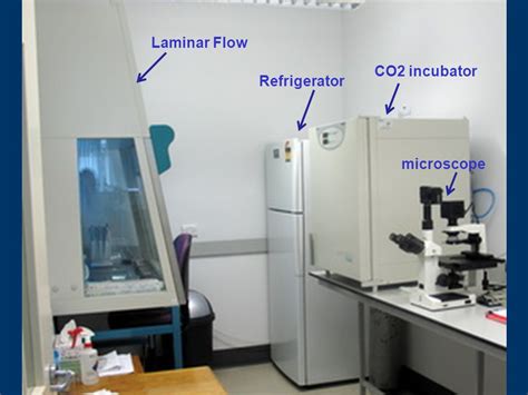 Microbiology Lab Layout Design