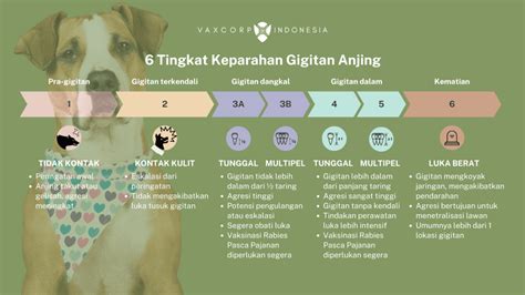 6-Tingkat-Keparahan-Gigitan-Anjing - VAXCORP INDONESIA