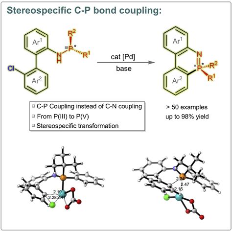 Palladium Catalyzed Stereospecific Cp Coupling Toward Diverse Pn