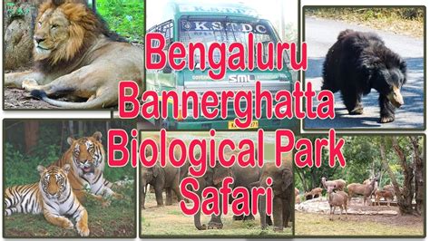 Bannerghatta National Park Jungle Safari Bangalore Zoo