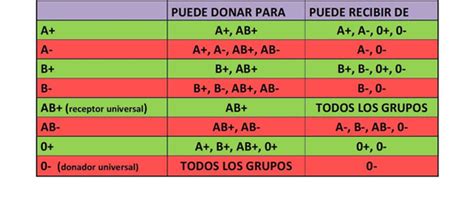 Tipos De Sangre Compatibles Para Tener Hijos - fiendwos