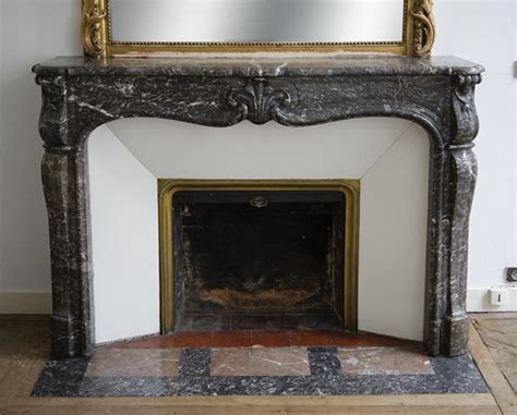 Antique Louis Xv Period Fireplace In Grey Sainte Anne Marble Th