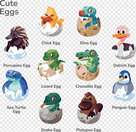 Cute Eggs Hatch Illustration Sets Png Pngwing