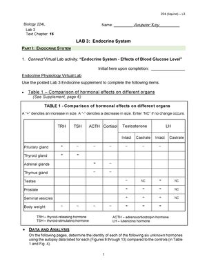 224 Aquino Lab 9 9th Lab Handout Worksheet Of The Year BIOL 224L