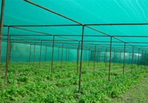 HDPE Green Agro Shade Net Coated At Rs 25 Square Meter In Mumbai ID