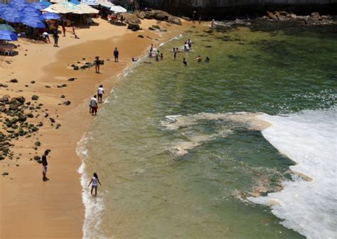 para agregar enlace Contribución las playas mas limpias Talla implícito