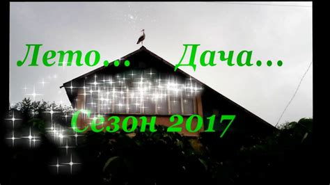 Лето... Дача... Сезон 2017 - YouTube