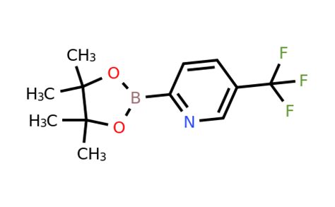 Cas Trifluoromethyl Pyridine Boronic Acid Pinacol