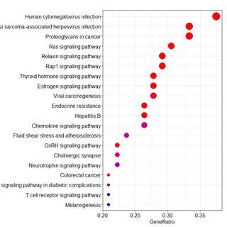 Functional Characterization Of The Genes Ranked By Generank Algorithm