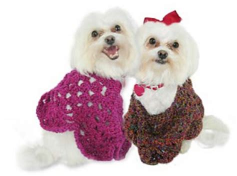 Ravelry Martha Stewart Coming Home Pooch Poncho Crochet Pattern By Lion Brand Yarn