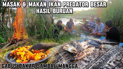 Astaga Ternyata Banyak Ikan Predator Di Sungai Ini Masak Dan Makan