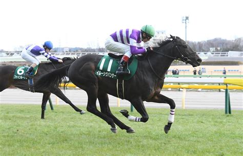 競馬初心者必見馬券予想🔥〜東京新聞杯〜中穴が好走するレース！ ハムスターブログ🐹〜ハムハムしながら競馬と株を嗜む〜