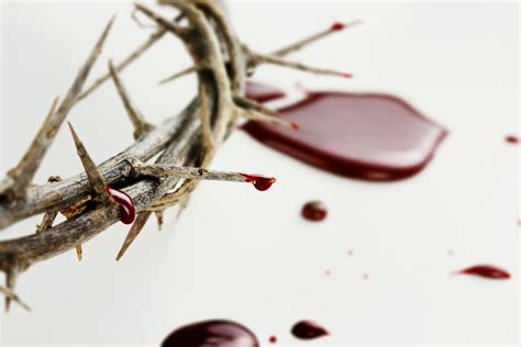 20 Things the Precious Blood of Jesus Does For Us | TruthforEternity.com