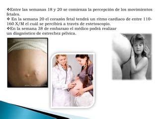 Embarazo Ppt