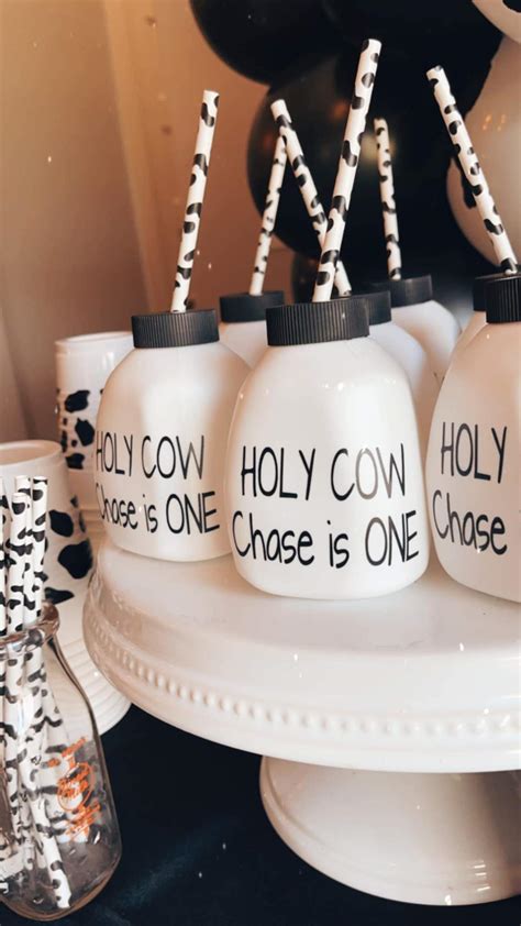 Holy Cow Im One Birthday Party Ideas Photo 1 Of 9 Catch My Party