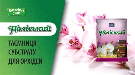 Улюблений субстрат орхідей -Поліський. ТАЄМНИЦЯ ЯКІСНОГО СУБСТРАТУ ДЛЯ ...