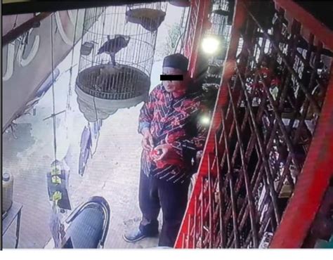 Aksi Terduga Pelaku Pencurian Hp Terekam Cctv