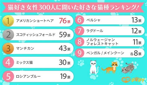 【猫好き女性300人に聞いた】好きな猫種ランキング！2023年最新版 エンタメラッシュ