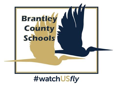 Brantley County School System