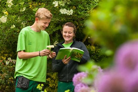 Ausbildung Stockreiter Garten Landschaftsbau Und Baumpflege