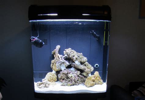 Live Rock For Saltwater Aquariums The Salty Side