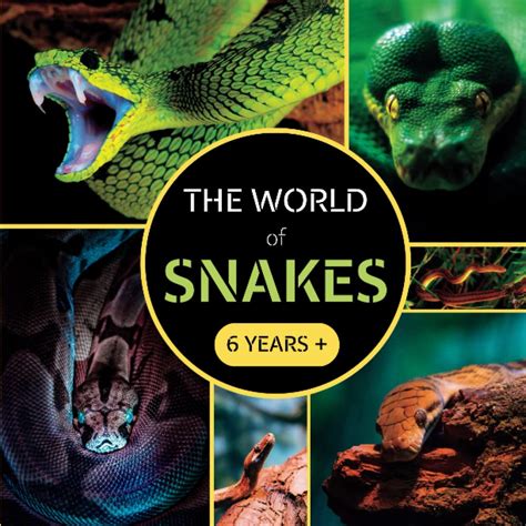 The World of Snakes: Animal documentary book about snakes for kids aged ...