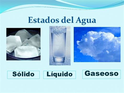 El Estado Del Agua