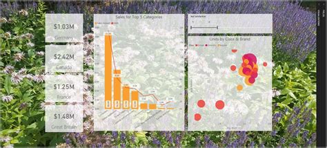 Use visual elements to enhance Power BI reports - Power BI | Microsoft ...