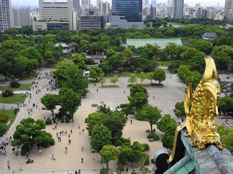 久しぶりの大阪城公園 その3 ムネコマサン