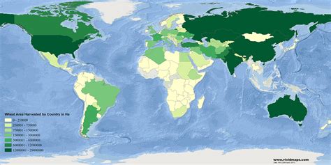 Wheat Area Harvested By Country Vivid Maps