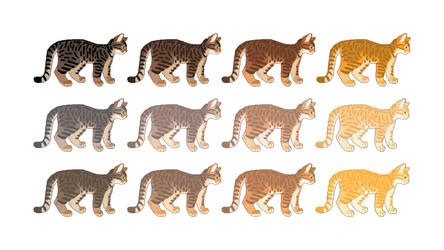 Wildcats - Felis silvestris on CatGeneticsClub - DeviantArt