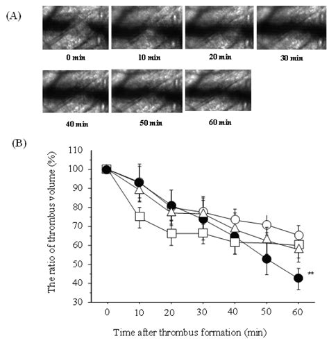 Effect Of Edoxaban F Xa Directed Oral Anticoagulant On Spontaneous