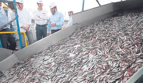 Produce Autoriza Segunda Temporada De Pesca En Plena Captura