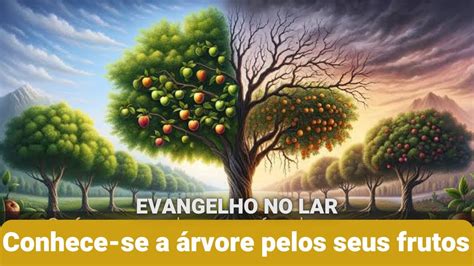 Evangelho no Lar Conhece se a árvore pelos seus frutos Capítulo 21