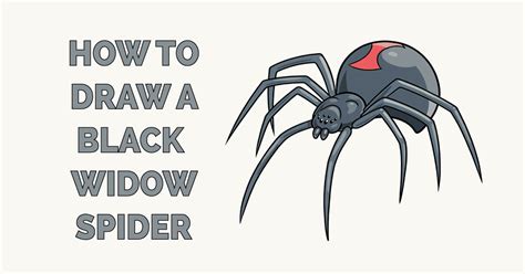 How to Draw a Black Widow Spider - Really Easy Drawing Tutorial