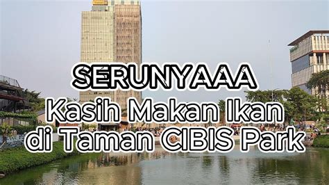 Serunya Kasih Makan Ikan Di Taman Cibis Park Tb Simatupang Jakarta