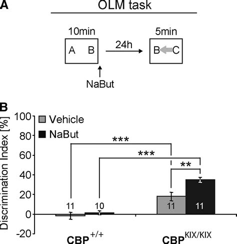 Hdac Inhibition Modulates Hippocampus Dependent Long Term Memory For