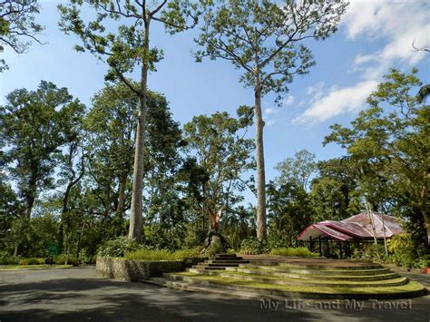 My Life And My Travel Makiling Botanic Garden