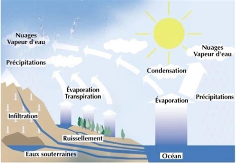 Voici Pourquoi L Eau Est Un Enjeu Majeur Pour L