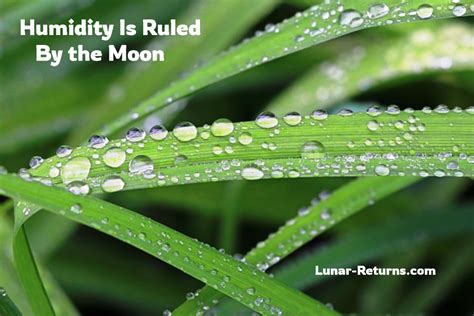 What Rules Humidity in Astrology | Lunar Returns
