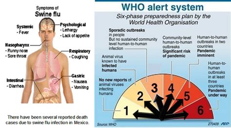 swine flu symptoms