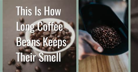 This Is How Long Coffee Beans Keeps Their Smell Carmel Bay Coffee